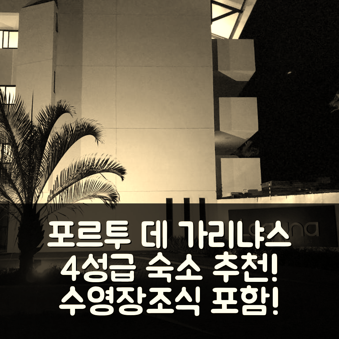 포르투 데 가리냐스 숙소 여행 호텔 추천 플랫 센트로 드 포르투 데 가리냐스 라구나 비치 플랫 | 4성급 수영장과 조식으로 즐기는 가성비 7가지 팁