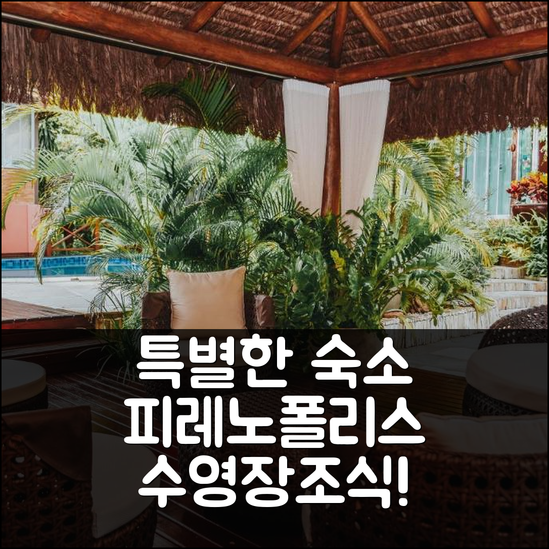 피레노폴리스 숙소 여행 호텔 추천 아난다 포우사다 | 4성급 수영장과 조식으로 즐기는 특별한 경험 5가지