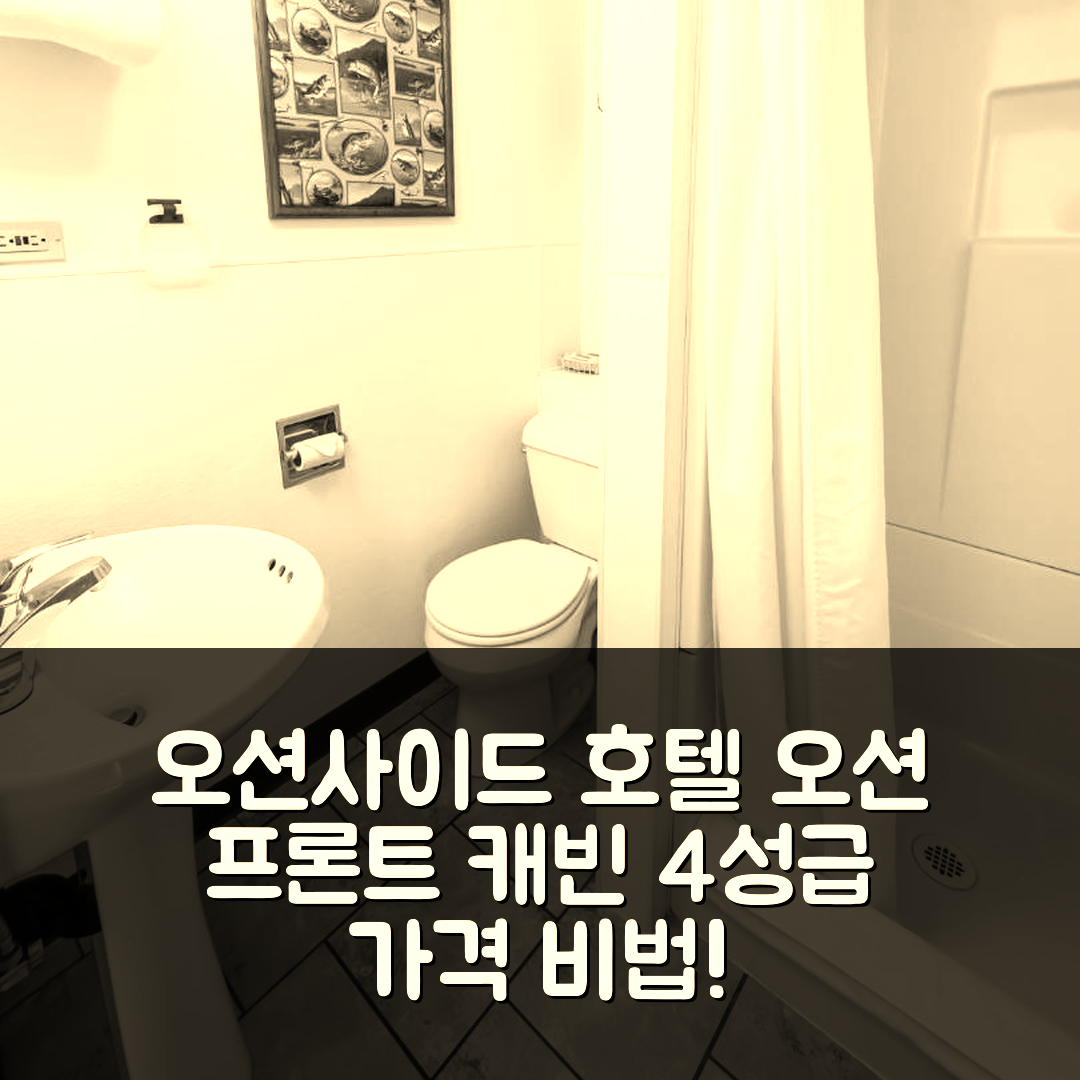 오션사이드 숙소 여행 호텔 추천 오션사이드 오션 프론트 캐빈 | 4성급 가격과 위치가 매력적인 5가지 이유