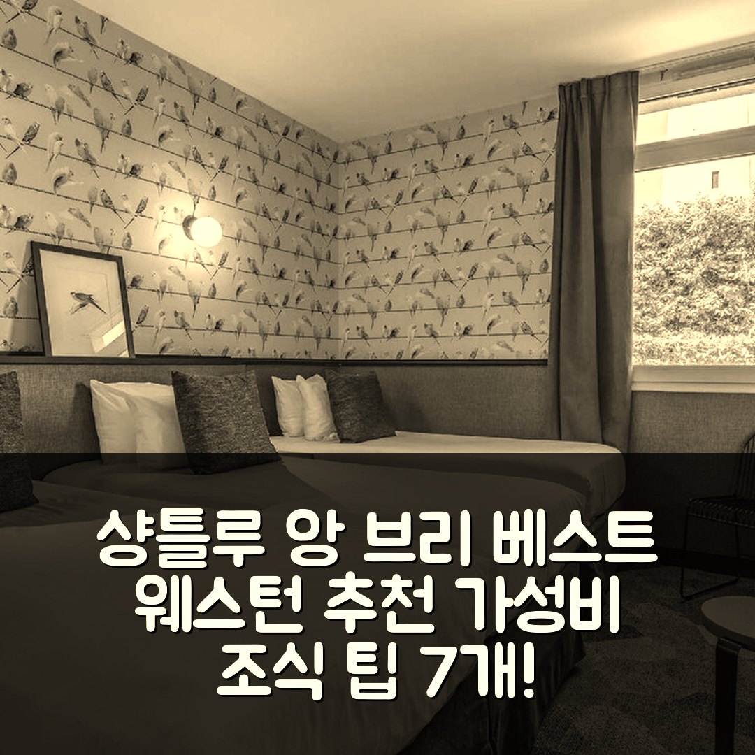 샹틀루 앙 브리 숙소 여행 호텔 추천 베스트 웨스턴 호텔 그랜드 파크 | 조식과 가성비 좋은 예약 팁 7가지
