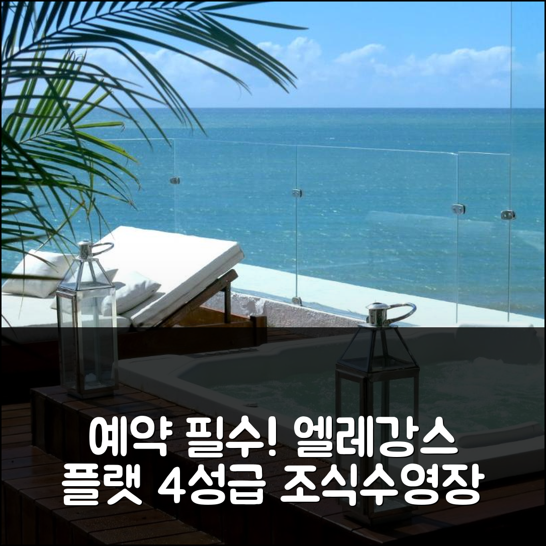 나타우 숙소 여행 호텔 추천 엘레강스 플랫 폰타 네그라 워터프론트 호텔 | 4성급 조식과 수영장 가격 비교 5가지