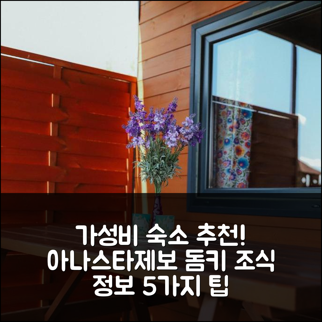 아나스타제보 숙소 여행 호텔 추천 돔키 트레비 스타레 | 가성비 최고 및 조식 정보 5가지 팁