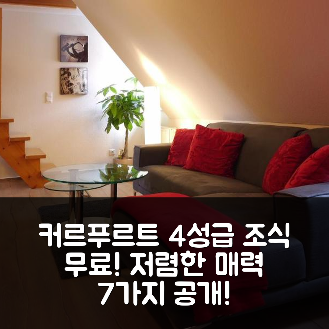 퀴르퍼트 숙소 여행 호텔 추천 커르푸르트 호프 | 4성급 조식과 저렴한 가격의 매력적인 이유 7가지