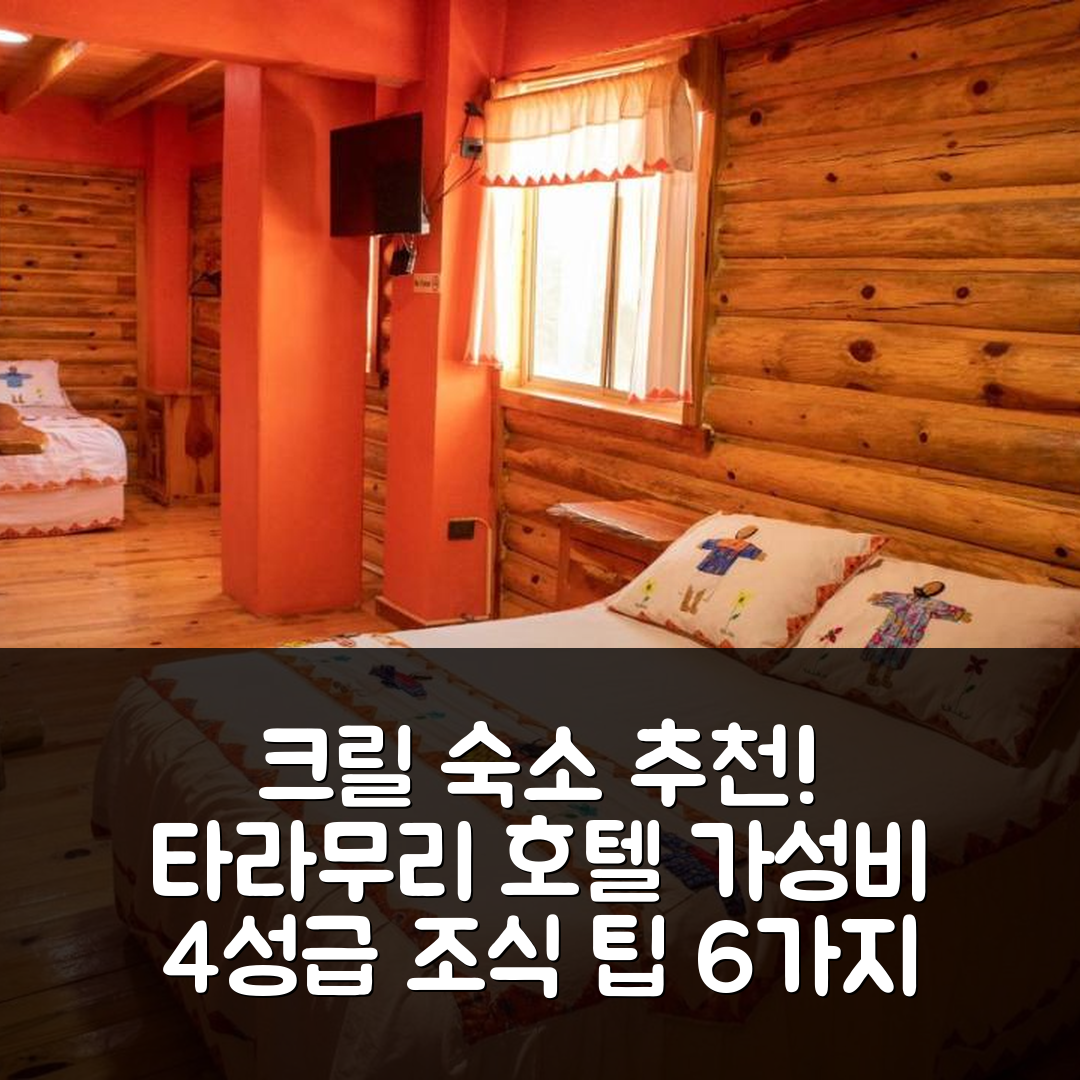 크릴 숙소 여행 호텔 추천 타라무리 호텔 | 가성비 뛰어난 4성급 위치와 조식 즐길 수 있는 팁 6가지