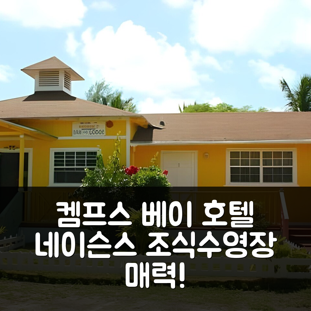 켐프스 베이 숙소 여행 호텔 네이선스 로지 | 조식과 수영장이 매력적인 5가지 이유