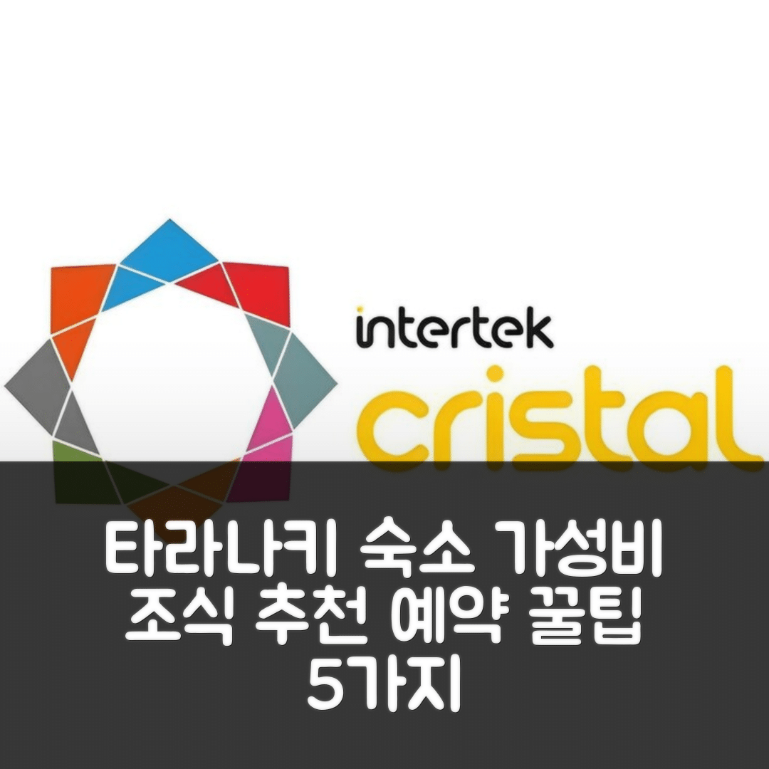 마운트 타라나키 숙소 여행 호텔 추천 더 파크 모텔 | 가성비 뛰어난 조식과 위치, 예약 꿀팁 5가지