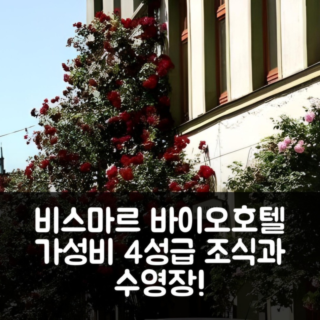 비스마르 숙소 여행 호텔 추천 바이오-호텔 라인가르트 | 가성비 좋은 4성급 조식과 수영장 정보 7가지