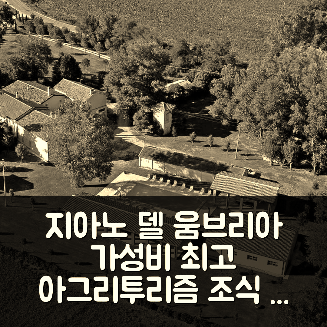 지아노 델 움브리아 숙소 여행 호텔 추천 아그리투리스모 일 물리노 델 베스코보 | 조식과 가성비 뛰어난 5가지 이유