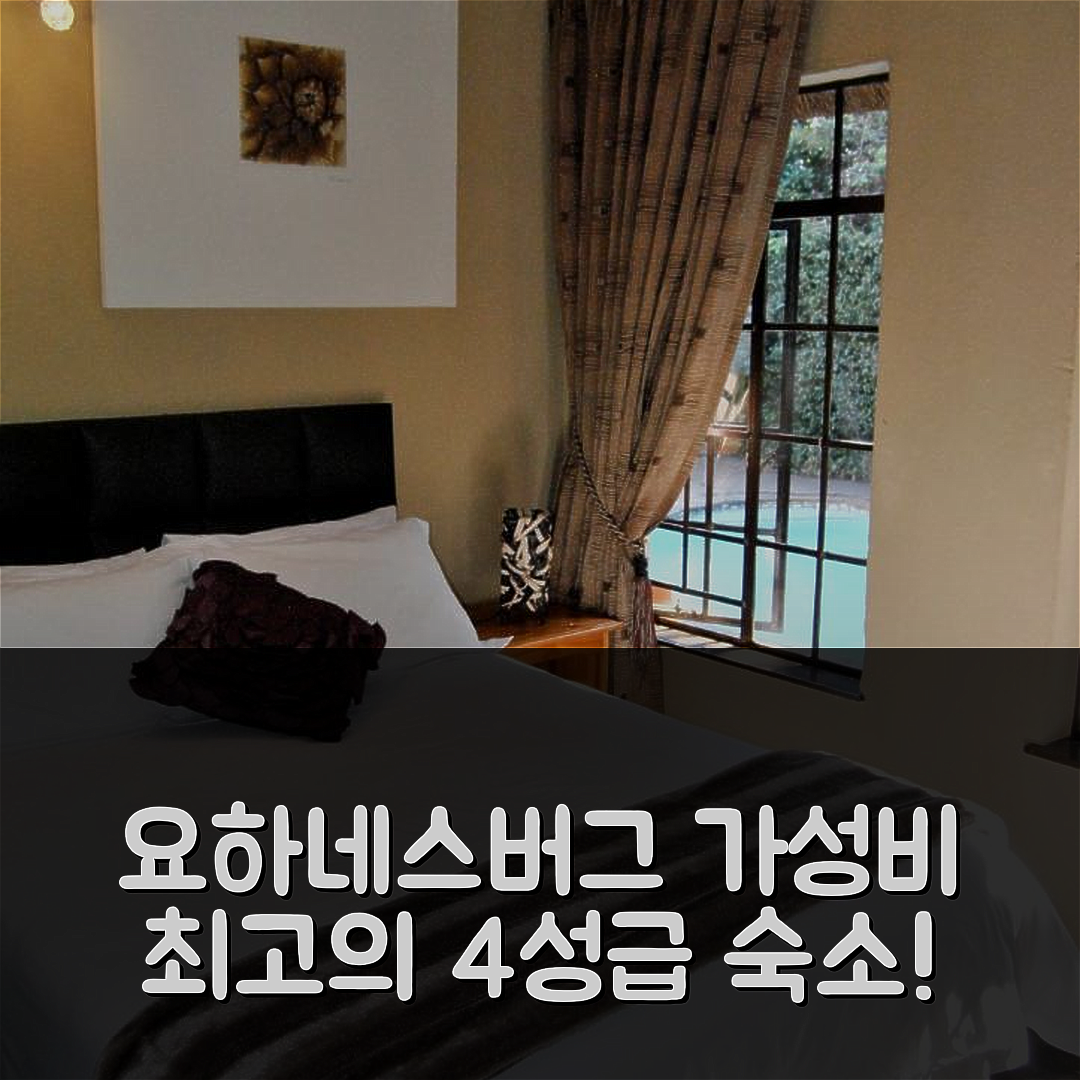요하네스버그 숙소 여행 호텔 추천 버치 트리 코티지 | 가성비 뛰어난 4성급 조식과 위치 정보 7가지