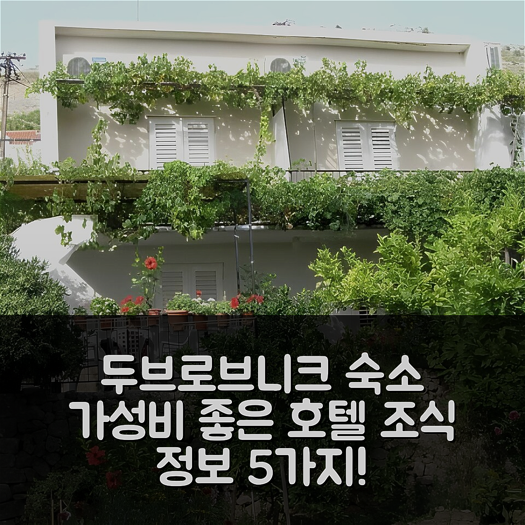 두브로브니크 숙소 여행 호텔 추천 아파트먼트 베슬레마 | 가성비 좋은 위치와 조식 정보 5가지 팁