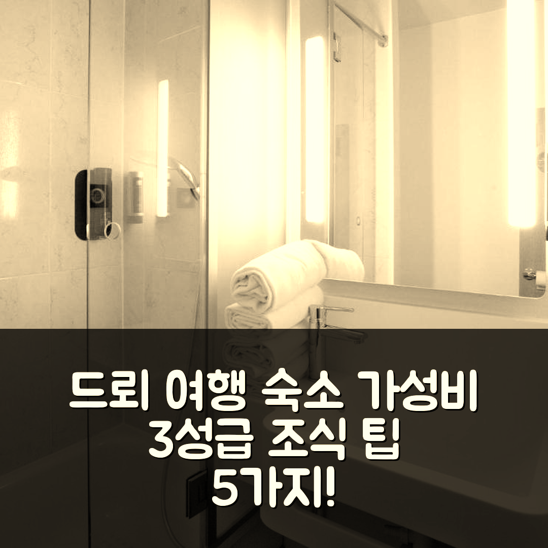 드뢰 숙소 여행 비앤비 호텔 드뢰 상점 | 가성비 좋은 3성급 조식과 위치 정보 5가지 팁