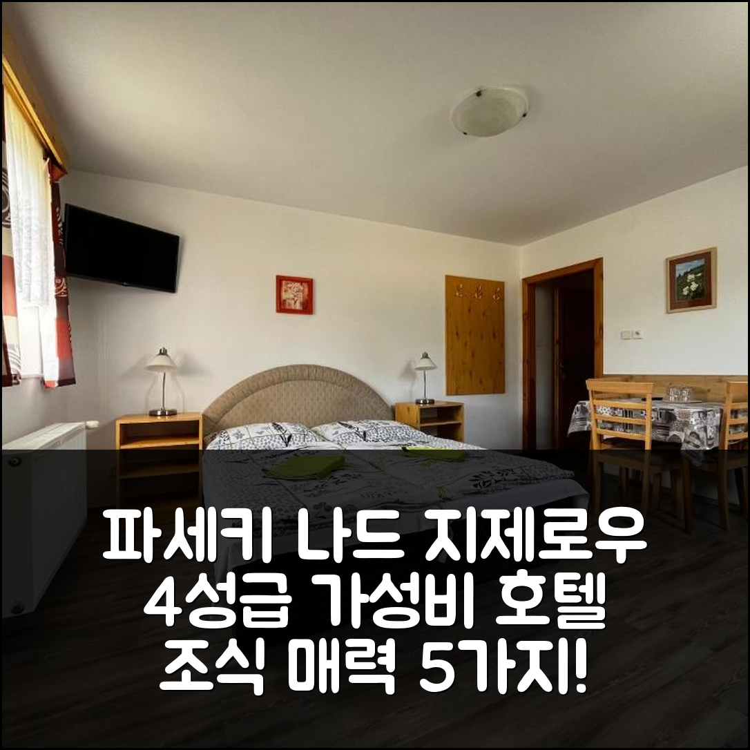 파세키 나드 지제로우 숙소 여행 호텔 추천 펜지온 우 필리 | 4성급 가성비와 조식의 매력 5가지