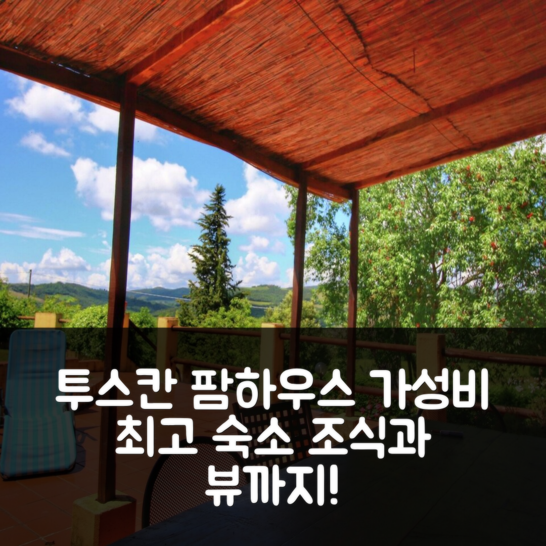 카스티글리오네 디'오르시아 숙소 여행 호텔 추천 스케닉 투스칸 팜하우스 | 가성비와 조식, 위치 뷰 7가지 매력 포인트