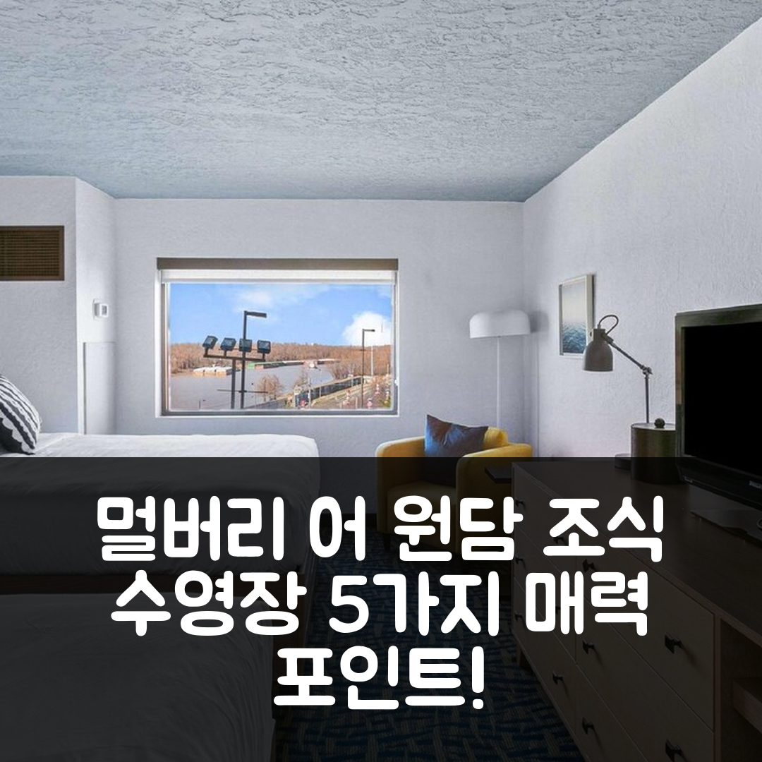 빅스버그 숙소 여행 호텔 추천 멀버리 어 원담 호텔 | 조식과 수영장이 매력적인 5가지 이유