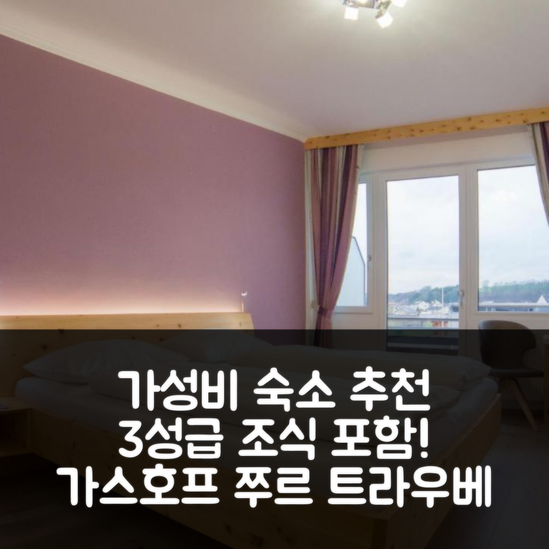 그레인 숙소 여행 호텔 추천 가스호프 쭈르 트라우베 | 3성급 조식과 가성비 뛰어난 예약 정보 5가지