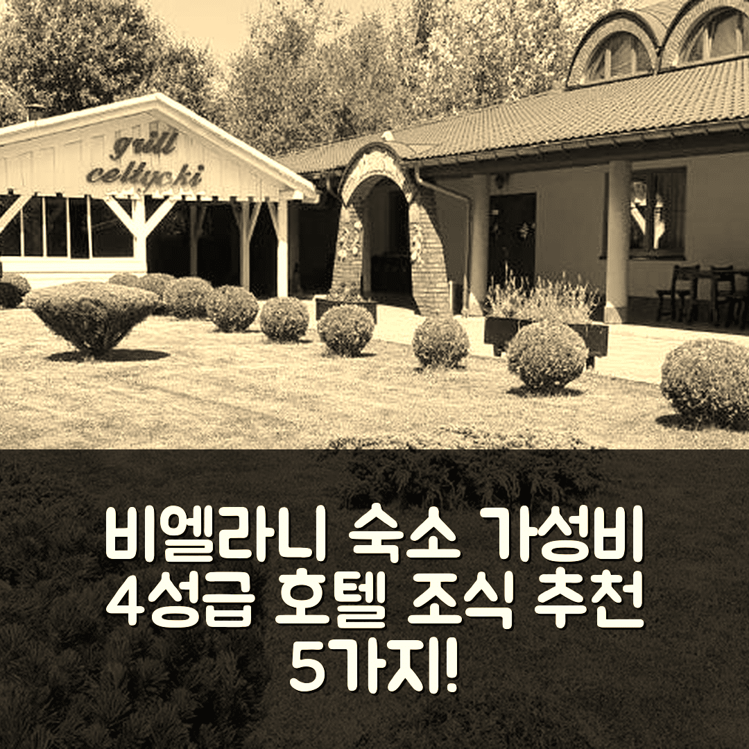 비엘라니 숙소 여행 호텔 추천 자이아즈드 셀틱키 호텔 | 가성비 뛰어난 4성급 위치와 조식 추천 이유 5가지