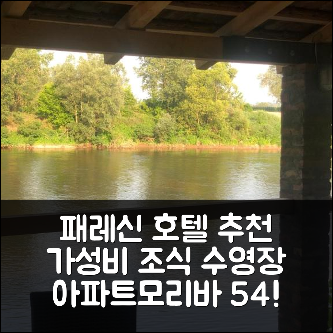 패레신 숙소 여행 호텔 추천 아파트모리바 54 | 가성비 뛰어난 조식과 수영장 정보 5가지