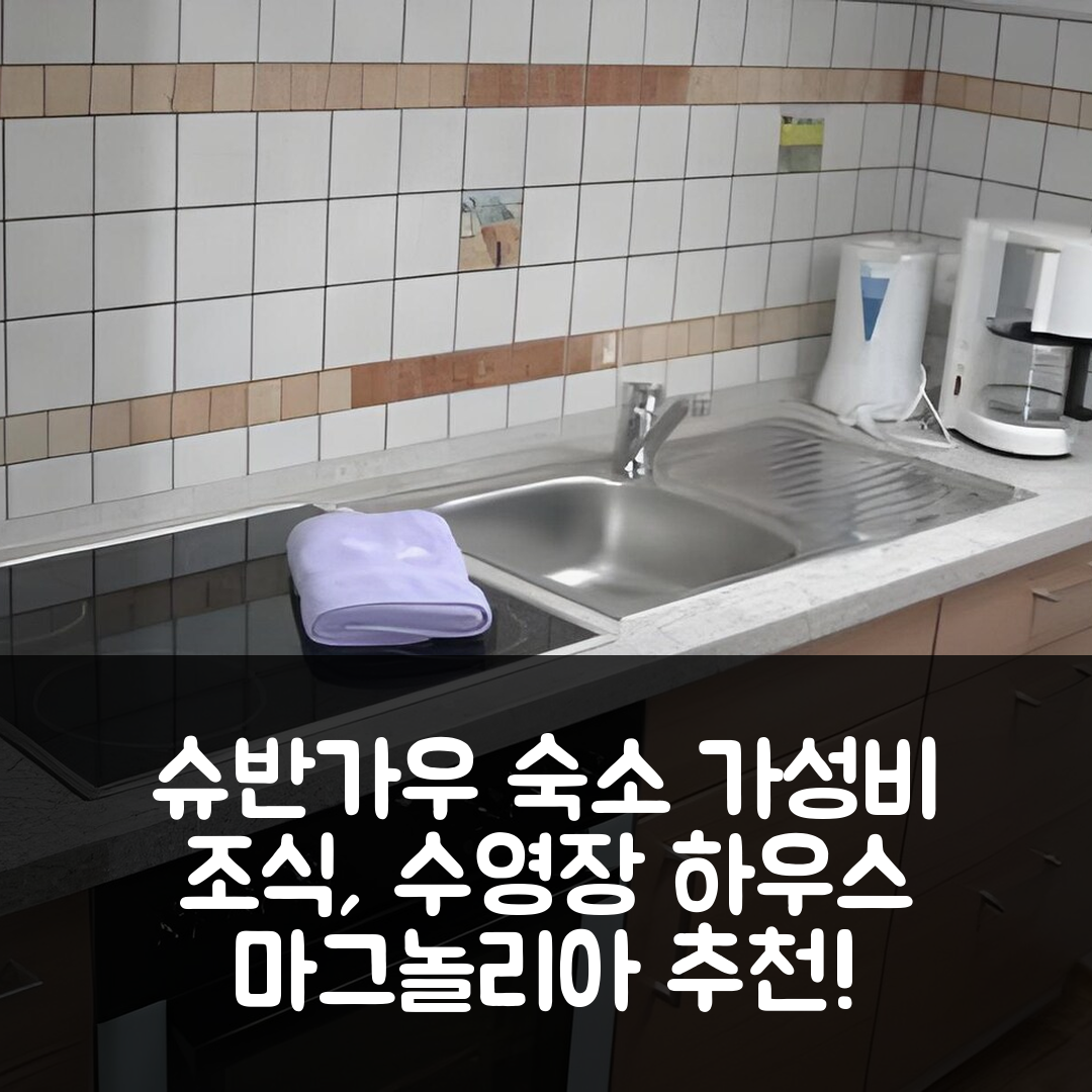 슈반가우 숙소 여행 호텔 추천 하우스 마그놀리아 | 3가지 가격과 가성비 뛰어난 조식, 수영장 정보
